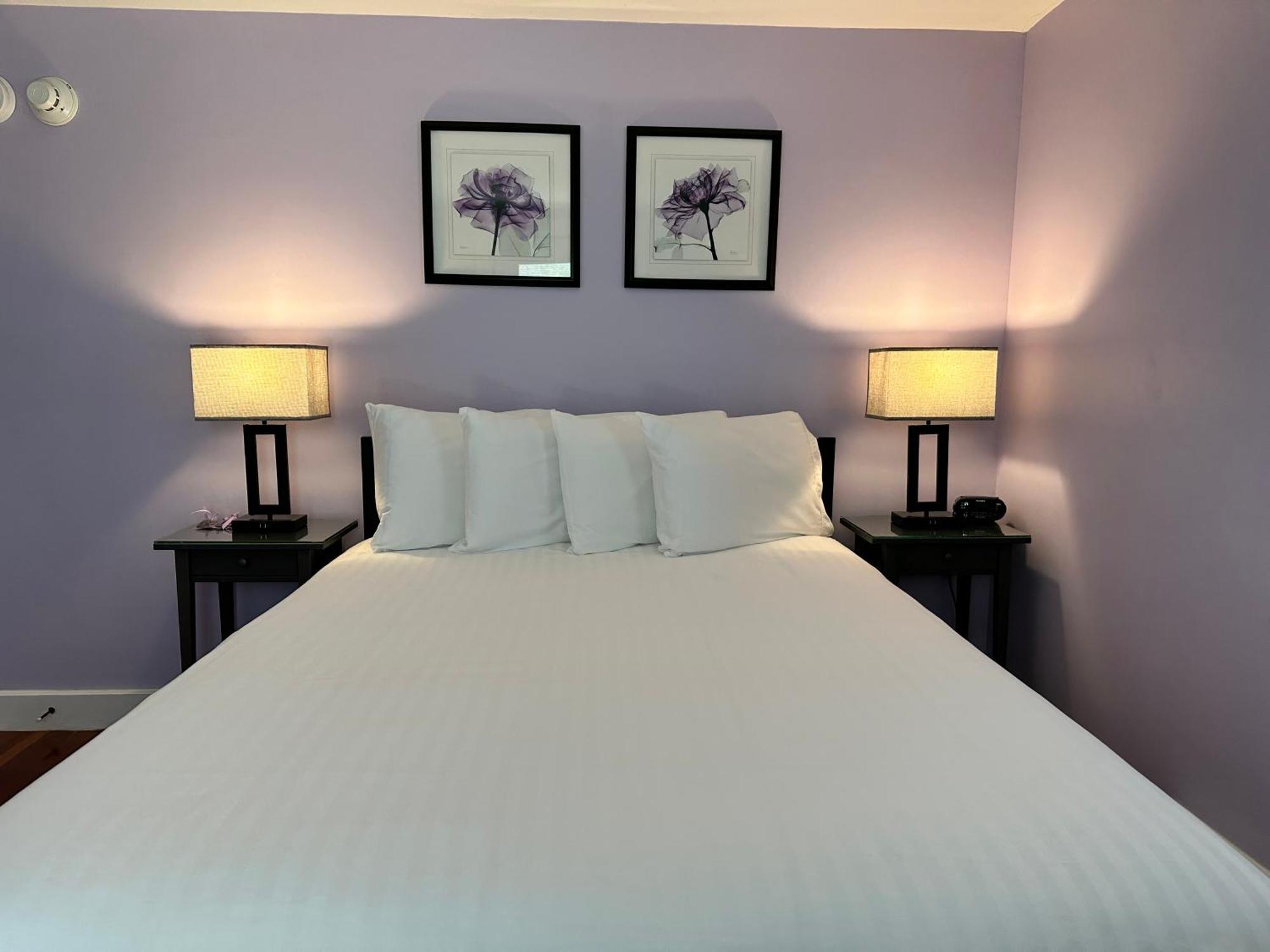 Dragonfly Guest House Ogunquit Esterno foto