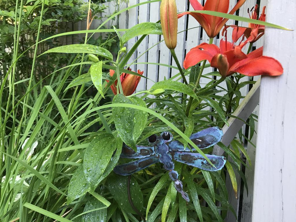 Dragonfly Guest House Ogunquit Esterno foto