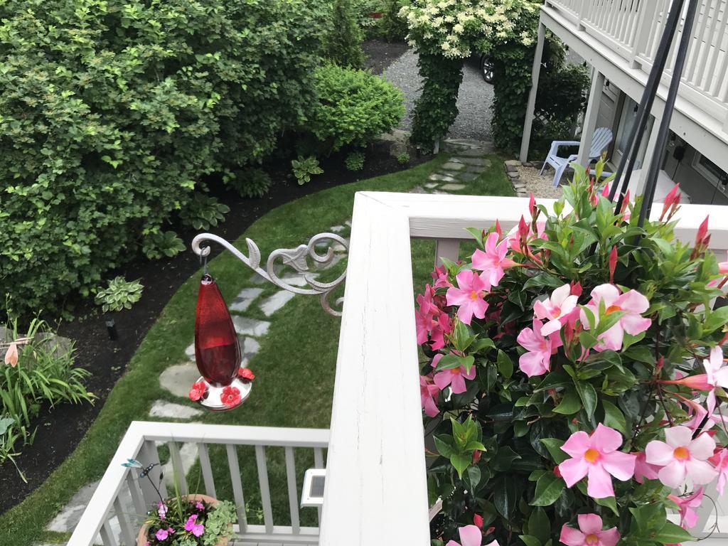 Dragonfly Guest House Ogunquit Esterno foto