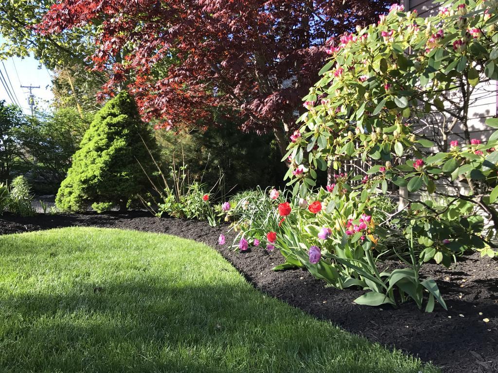 Dragonfly Guest House Ogunquit Esterno foto